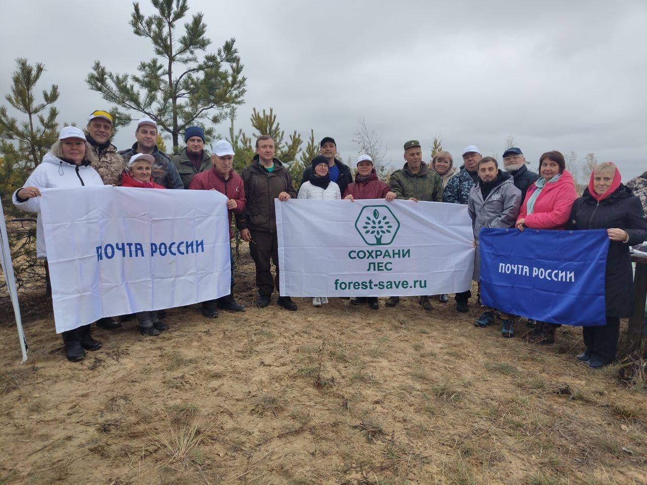 Почта России восстанавливает леса после пожаров